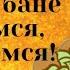 Анекдоты смешные до слёз Вот мы в бане попаримся потрахаемся