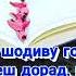 Умеди Рахмат Зиндаги гох Шодиву гохе Гам аст