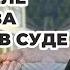 Раздел имущества супругов в суде машины деньги бытовая техника как избежать 3 частых ошибки