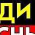 8 основных ЗАКОНОВ человеческой ГЛУПОСТИ Карло М Чиполла