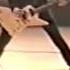 Downpicking God James Hetfield 1986 Metallica At Their Peak Master Of Puppets Best Guitarist