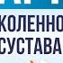 Артрит коленного сустава Симптомы и лечение от травматолога Домбровского