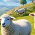 White Sheep Fluffy And Fat Soft Sheep Rhyme For Toddlers Cozy Farm Animal Song For Kids