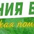 Управляющая Компания в СНТ Садоводческое товарищество передало правление в УК Председатель СНТ