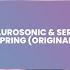 Aurosonic Sergey Shvets Marie Mauri Spring Original Mix Synthbios Chill