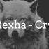 Cry Wolf Bebe Rexha 8D AUDIO