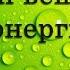 Обмен веществ и энергии