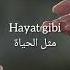 Toygar Işıklı Hayat Gibi Lyrics مترجمة للعربية