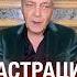 Путин ишак опасное признание лаврова невзоров