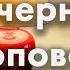 15 ноября Вечерняя проповедь