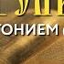 Толкование Евангелия с митр Антонием Паканичем Суббота 9 ноября 2024 года