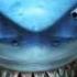 Finding Nemo OST 32 Drill