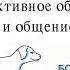 Не рычите на собаку Методы эффективного обучение и общения