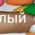 Развивашки Николашки Игра Веселый ёжик