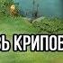 НЕРЕАЛЬНЫЕ ХУКИ от DENDI