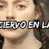 SIA SHE WOLF Hope Mikaelson Traducida Al Español Legacies