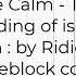 The Calm The Binding Of Isaac Rebirth Noteblock Cover