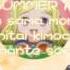 Pripara Dressing Flower Bold SUMMER ADVENTURE Lyrics Full