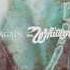 Whitesnake Crying In The Rain Official Remaster 2002
