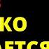 КАРЛ ЮНГ РАСКРЫЛ Почему НАСТОЯЩАЯ ЖИЗНЬ начинается ТОЛЬКО ПОСЛЕ 40