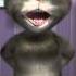 Talking Tom Does Numa Numa