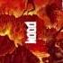 DOOM 2016 OST Message From Dr Samuel Hayden Title Drop