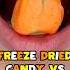 FREEZE DRIED CANDY VS BRACES HALLOWEEN EDITION WILL IT BREAK OFF BRACES ORTHODONTIST REACTS