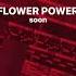 CAKEBOY FLOWER POWER New Snippet