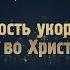 Сущность укоренения во Христе Александр Калинский