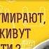 Почему дети умирают а маньяки живут до старости Библия отвечает Священник Павел Островский