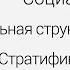 Социальная структура общества Стратификация общества Центр онлайн обучения Фоксфорд