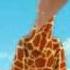Hans Zimmer Madagascar 2 Alex On The Spot