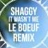 Shaggy It Wasn T Me Le Boeuf Remix