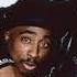 2Pac Rise Of A Champion Ft Dmx