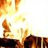 Birch Wood Burning Crackling Fireplace Sounds 1 Hour Realtime The Ultimate Relaxation Experience