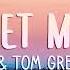 VIZE Tom Gregory Never Let Me Down Lyrics