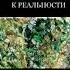 Lee Инструкция к реальности Книга 1 Кто я Главы 1 2