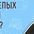 Сколько слепых исцелил Христос Мф 20 29 30 Протоиерей Олег Стеняев