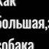 как большая злая собака