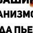 Что происходит с Вашим телом когда вы пьете лимонную воду Вода с лимоном польза или вред