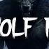 WEREWOLF AMBIENCE 3 HOURS OF SPINE CHILLING AMBIENCE FOR D D STORYTELLING WORK STUDY