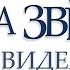 А звезды видели все 11 я часть Тамара Резникова Роман христианский