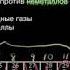 Периодическая таблица классификация химических элементов видео 1 Периодическая таблица Химия