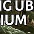 ACHIEVING UBER DELIRIUM Jund Aggro Modern MTGO