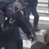 Riot Police Knock Man Unconscious During Protest In Paris