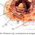 колесов 8 класс биология строение клетки митохондрия печка