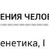 Биология поведения человека Лекция 4 Молекулярная генетика I Роберт Сапольски 2010 Стэнфорд