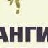 Е Шерстобитов Акваланги на дне