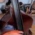 Doublebass With Evah Pirazzi Slap