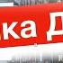 Супер Обработка Песня Бременских музыкантов Ничего на свете лучше нету на Аккордеоне и Баяне